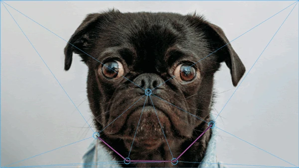 6-img-04.webp 6-img-04.webp