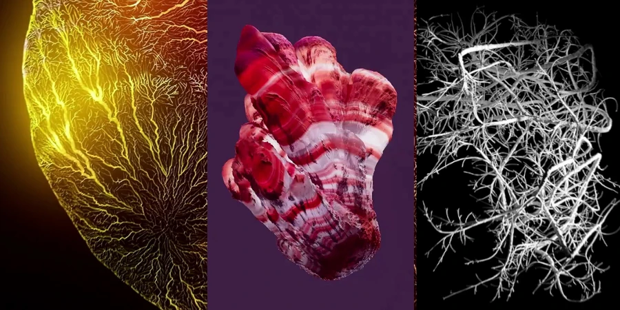 图片_3.webp 图片_3.webp