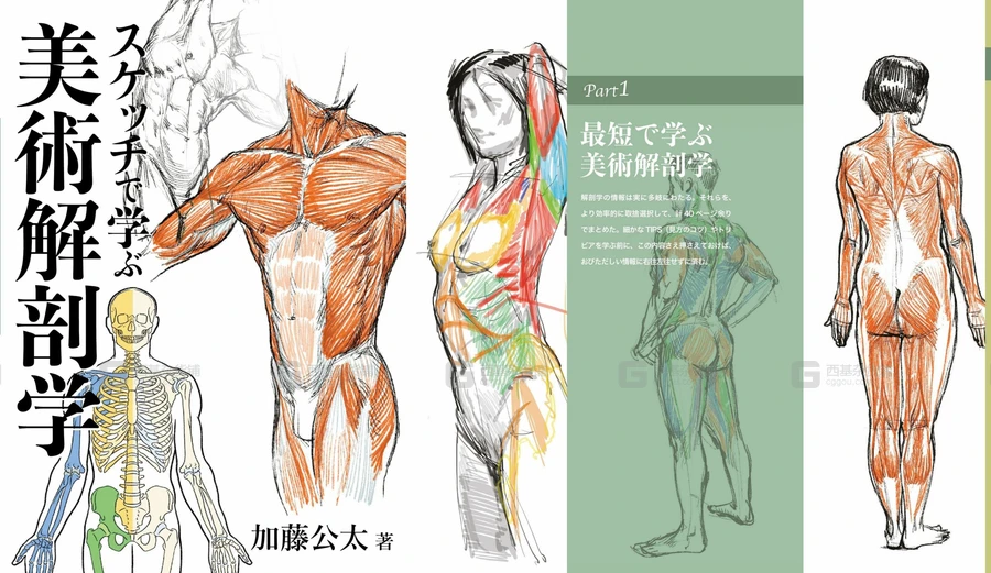 当前图片