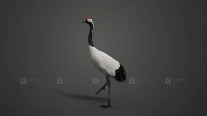 当前图片