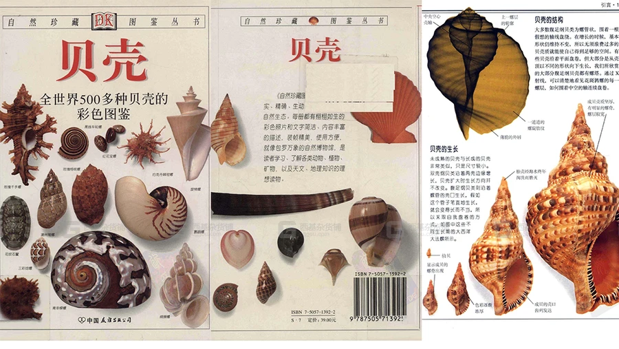 当前图片