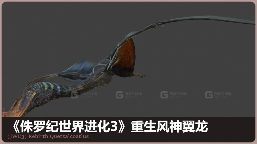 当前图片