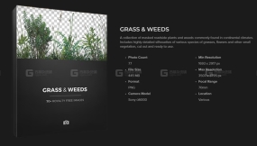 草植物alpha贴图