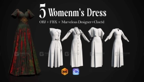 5件女性长裙连衣裙礼服 5 Women's Dress