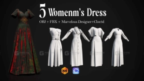 5件女性长裙连衣裙礼服 5 Women's Dress