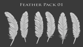 翅膀羽毛笔刷 Feather IMM Pack