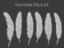 翅膀羽毛笔刷 Feather IMM Pack