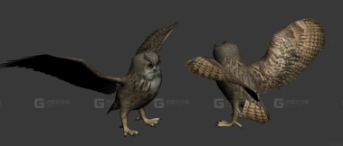 大白鲨 Great White 22