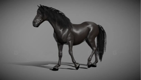 黑马模型 Black horse 2.0