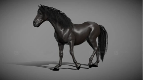 黑马模型 Black horse 2.0