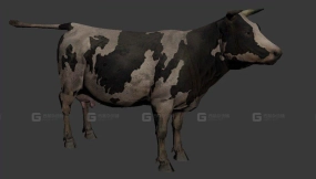 奶牛 Сow 30