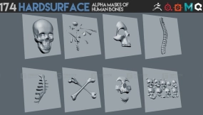 174张硬表面人体骨骼Alpha遮罩  174 Hardsurface alpha masks of human bones