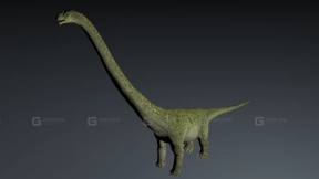 Daxiatitan - 大夏巨龙