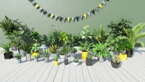 【UE】热带室内植物  Tropical House Plants