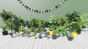【UE】热带室内植物  Tropical House Plants