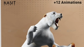 雌狮动画白色  Female Lion Animated White