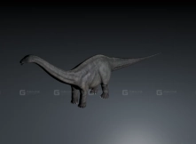 Apatosaurus - 迷惑龙