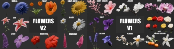 Blender花朵开花动画资产