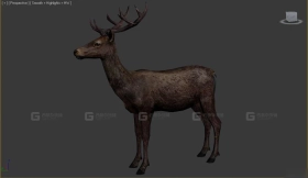 鹿 Deer 19