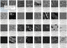 【贴图】100组破旧污迹划痕深度图片素材 Artstation – 100 MultiPurpose Imperfection VOL.04