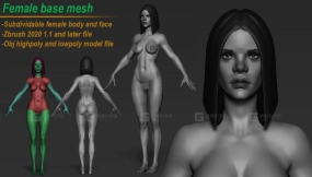 女性角色身体基础模型模型 Female character basemesh (Woman body)