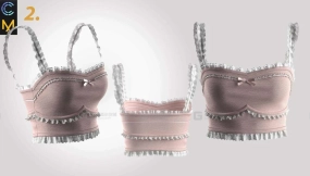 3+复古蕾丝内衣 3 Bustier tops