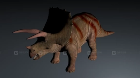 始三角龙 Eotriceratops 0