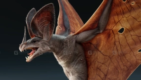 蝙蝠翼龙模型 Bat Dragon Anatomy & Animation Study