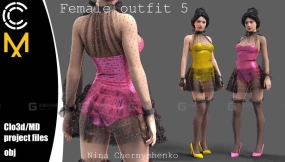 性感透明网纱裙子衣服丝袜高跟鞋 Female outfit 5