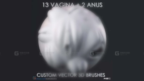 写实类女性生殖器笔刷 Balls VDM 3DBrush+Vagg VDM 3D Brush