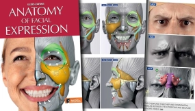 人头面部表情肌肉动态艺用解剖PDF电子书参考素材 Anatomy of Facial Expression