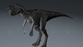 窃蛋龙 Oviraptor 0