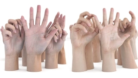 3DScan高质量男性女性手部扫描贴图模型 3D Scan Store Ultimate Female and Male Hands Pack