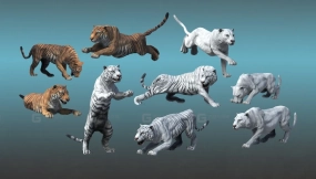 【UE】亚洲动物——老虎  Asian Animal - Tiger