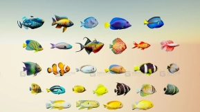 【UE】热带鱼  Tropical Fish