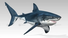 【UE】大白鲨  Great White Shark