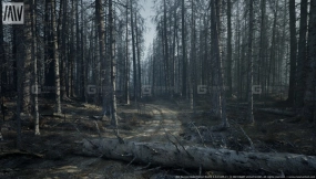 【UE】山火枯树森林 MW Burned Dead Trees Forest Biome