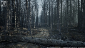 【UE】山火枯树森林 MW Burned Dead Trees Forest Biome