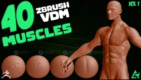 40个真实肌肉VDM笔刷 40 Real Muscles VDM Brush