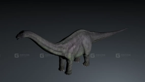 Argentinosaurus - 阿根廷龙