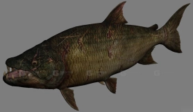 鱼妖 Fish Demon 12