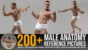 200+男性解剖肌肉结构参考图片 ArtStation - Grafit Studio - 200+ Male Anatomy Reference Pictures