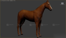 马 Horse 23
