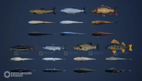 【UE4.26】淡水鱼包（含动画）  Freshwater Fish Pack with Animations
