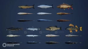 【UE4.26】淡水鱼包（含动画）  Freshwater Fish Pack with Animations