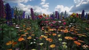 【UE】花卉与植物 自然篇 第一部分  Flowers and Plants Nature Part 1
