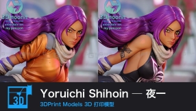 ​【3D打印】Yoruichi Shihoin一夜一