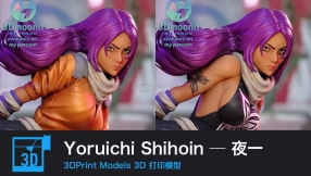 ​【3D打印】Yoruichi Shihoin一夜一
