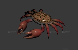 螃蟹 Crab 7