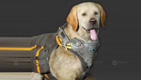 拉布拉多 Labrador 0